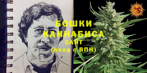 гашик Нефтекумск
