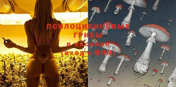 прущая мука Алексин