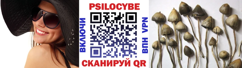 Псилоцибиновые грибы GOLDEN TEACHER  Ардатов 