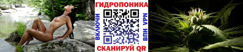 MEGA   Ардатов  Бошки Шишки планчик 